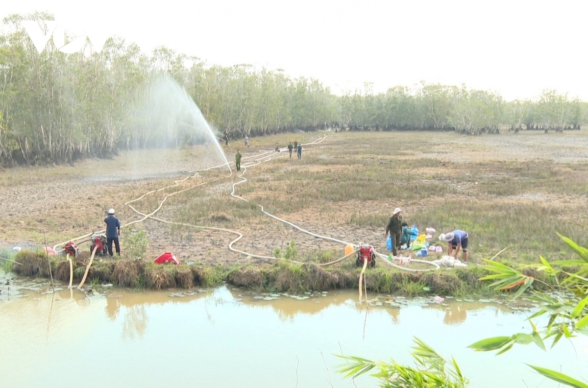 Hơn 200 người tham gia chữa cháy tại Vườn Quốc gia Tràm Chim